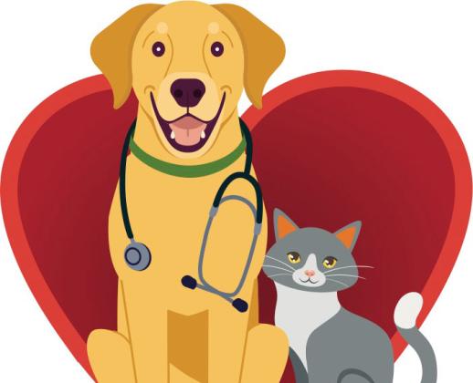 White County 4-H will hold its annual rabies clinic on two Saturdays, April 24 and May 1, from 1-4 p.m. at the Cleveland Veterinary Hospital on U.S. 129 S. across from Wendy’s.