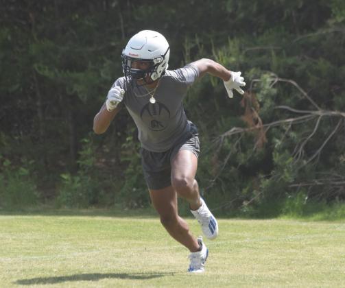 Rising junior Darius Cannon gives the Warriors' a big-play threat on both sides of the ball. Cannon was the Region 7-AAA Athlete of the Year last fall. (Photo/Mark Turner)