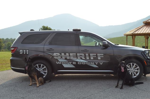Henzo and Skuter are two of the newest members of the White County Sheriff's Office. (Photo/Stephanie Hill)
