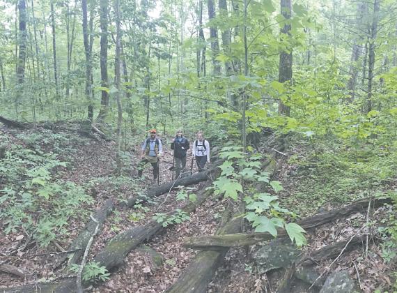 Pictured is the research team south of Unicoi Gap, standing on the 200-year-old road. Shown from left are Dr. Jacob McDonald, Brittany Mann and Katelynn Comer. (Photo courtesy Alan Hall)