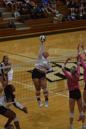 WCHS senior Camryn Dorsey was named to the All-Area team. (Photo/Mark Turner)