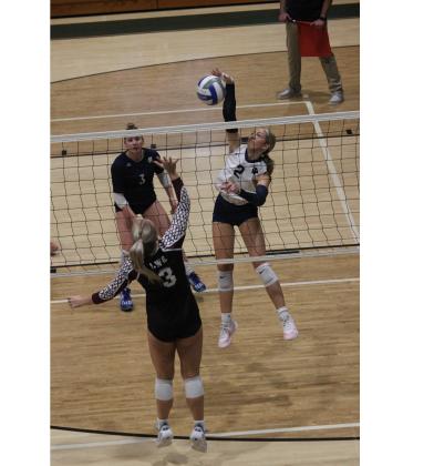 Daylee Barrett hammers a kill during the win over Chestatee in the opening round game of the 6-AAA tournament Tuesday at North Hall. MARK TURNER/WCN