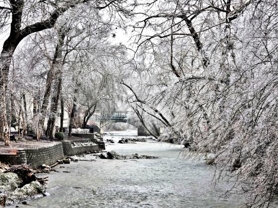 Dana Bridges photographed icy trees flanking the Chattahoochee River.