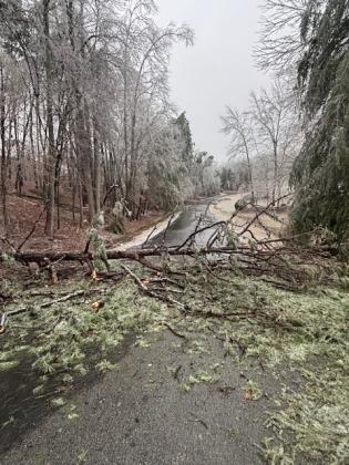 This tree went down at Chimney Lake during last weekend’s Winter Storm Fern. PHOTO/BRYCE BARRETT, WHITE COUNTY PUBLIC SAFETY