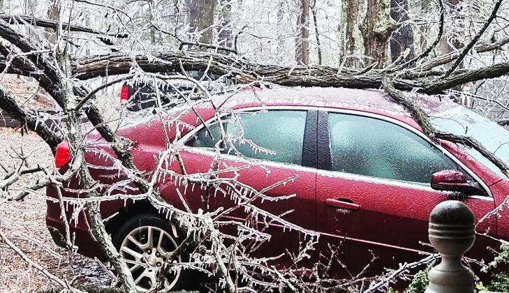 Michelle Adams showed storm damage to this car.