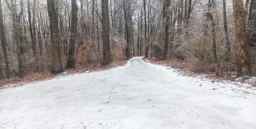 Nelson Peloquin's photographed a dirt road formed into a sheet of ice.