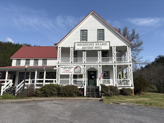 Nacoochee Village Antique Mall offers visitors multiple rooms filled top to bottom with antiques and collectibles to explore. CARLY HENDERSON/WCN