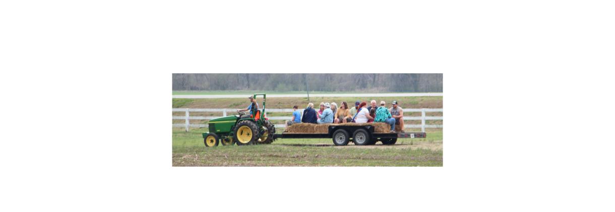 Visitors ride a hay wagon during the Cows Come Home Celebration on Saturday. CARLY HENDERSON/WCN