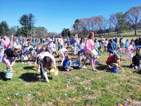 Scores of kids hunted for Easter eggs at Skitts Mountain Farms in Cleveland on March 28. DENISE ETHERIDGE/WCN