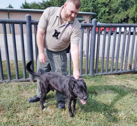 Animal Control Officer Anthony Cannon brings Felice, a black lab/pit bull mix, out to the facility's dog park to play.