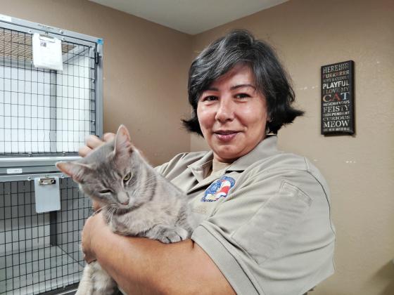 Animal Control Operations &amp; Training Coordinator Astrid DeWeever pets a mama cat that came in to the facility with her kittens.
