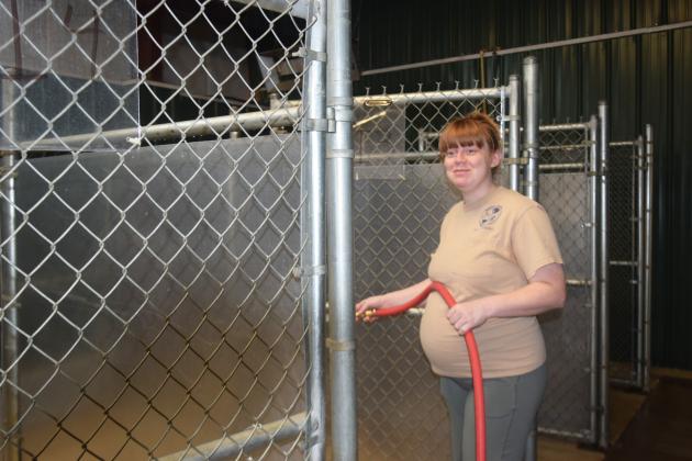 Kennel Tech Callie Shurtleff hoses down the inside dog kennels at Animal Control every morning as part of the facility's daily cleaning regimen.