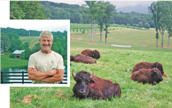 Owner Kim Chapman stands in front of a breathtaking view at KC Bison Ranch as a herd of bison settle into the pasture below. KEITH MURDEN/CNI
