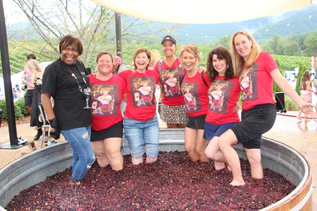 “The Lucy's” stomp grapes during Crush Fest 2025 at Yonah Mountain Vineyards. From left, Nikki Rayton with Pop the Cork Wine Tours, Anna Sander, Courtney Clearly, Toni Doleman, Maryann Rallis, Stacy Bell and Holly Reese. FILE PHOTO