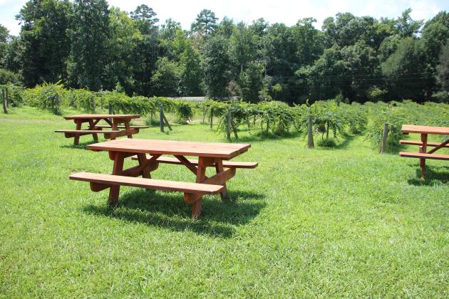 Picnic tables overlooking the vineyards give visitors a place to relax and enjoy the laid-back atmosphere at Tesnatee River Winery &amp; Meadery.