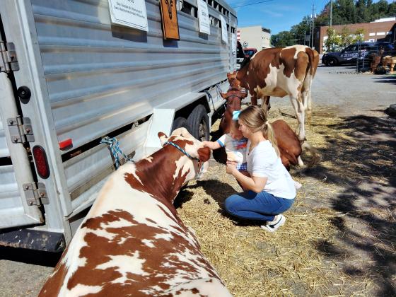 Landri Kastner, 3, pets a cow under her mother April Darby's watchful eye. The family attended Agri-Fest on Sept. 26 at Freedom Park in Cleveland. DENISE ETHERIDGE/WCN
