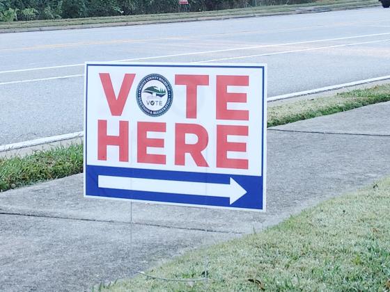 Early in-person voting will continue from 8 a.m.-5 p.m. daily, except for Sunday, through Oct. 30, at the county Elections and Registration office, located at 1241 Helen Highway in Cleveland.