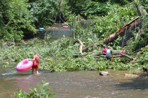 A worker rescues a tube from under one of the downed trees. (Photo/Stephanie Hill)