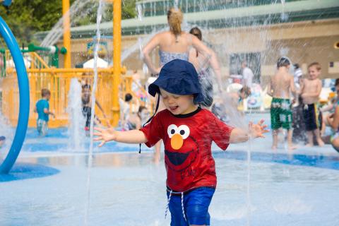 When the days are hot, the Frances Meadows Aquatic Center is a great place to cool off, no matter how old you are. Photos/Frances Meadows Aquatic Center