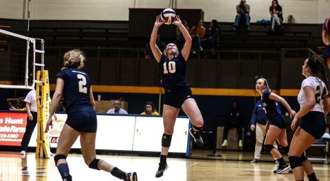 Abby Maxwell was named the AAC Setter of the Week for her performce during the Faulkner Invitational last weekend. (Photo/TMU Athletics)