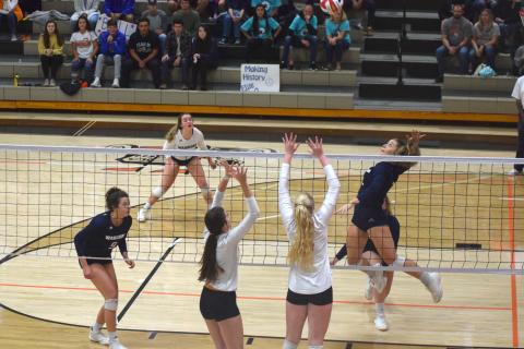 Jenna Ash soars for a kill attempt during the Lady Warriors' match against LaFayette Saturday in the Elite Eight matchup. (Photo/Mark Turner)