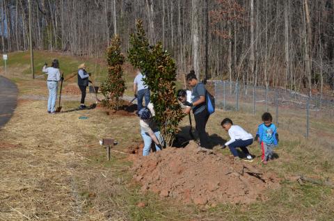 In front from left, Sam Litz, Ivy Scott, Jaquilla Scott, Jonah Scott and J.J. Scott team up to arrange a magnolia tree. In the background, Cindi Sisk and Josh Irvin shovel dirt onto a root bed. (Photo/Wayne Hardy)