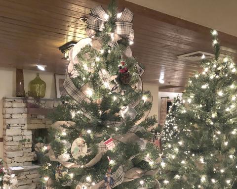 The annual Festival of Trees fundraiser for the United Way of White County will wrap up this week with a Festival of Lights reception 6 p.m. Friday, Dec. 6, at Unicoi State Park & Lodge.