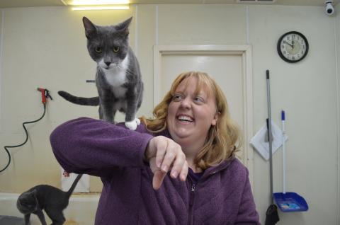 Our reporter Stephanie had a fun time visiting the Charles Smithgall Humane Society and Adoption Center last week. Check out this week's paper to find out more information about the shelter.