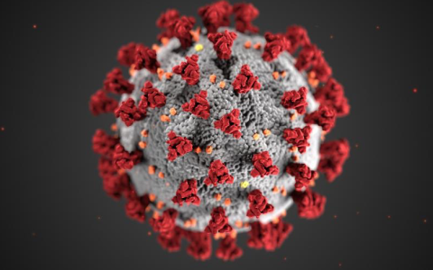 The number of confirmed coronavirus cases in White County has risen to four.