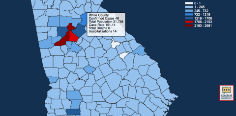 There have been 48 total confirmed COVID-19 cases in White County since the start of the pandemic, according to the evening update on Monday, April 27 on the Georgia Department of Public Health's website. This image was taken from the Department of Public Health website.