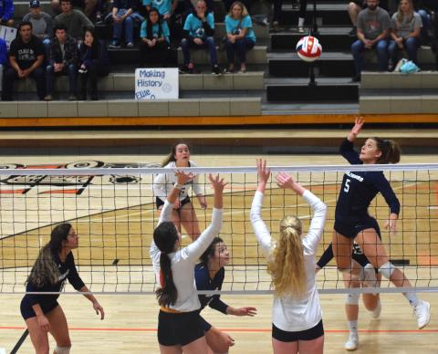 The GHSA's plan to restart high school sports activities could be the first step to get the Warriror squads back in action for the fall sports season. (Photo/Mark Turner)