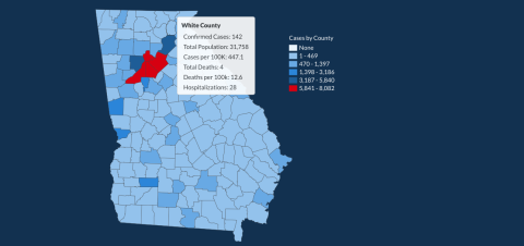 There have been 142 total confirmed COVID-19 cases in White County since the start of the pandemic, according to the update on Tuesday, June 30, on the Georgia Department of Public Health's website. (Image from DPH website)
