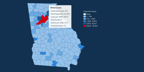 There have been 174 total confirmed COVID-19 cases in White County since the start of the pandemic, according to the update on Monday, July 13, on the Georgia Department of Public Health's website. (Image from DPH website)
