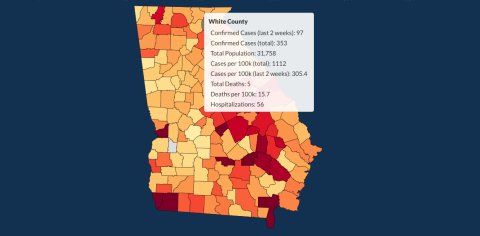 There have been 353 total confirmed COVID-19 cases in White County since the start of the pandemic, according to the update  on Monday, Aug. 10, on the Georgia Department of Public Health's website.