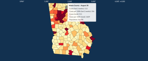 There have been 511 total confirmed COVID-19 cases in White County since the start of the pandemic, according to the update  on Sunday, Aug. 30, on the Georgia Department of Public Health's website. 