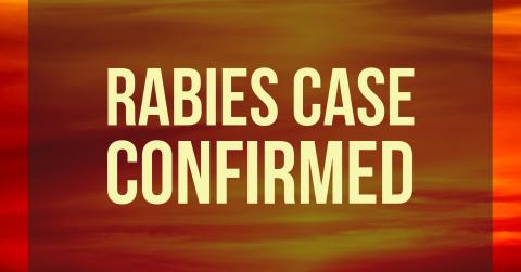 A rabid raccoon in the Brookwood Village Drive area is the 17th confirmed rabies case in White County for 2020.