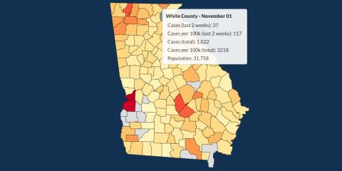 There have been 1,022 total confirmed COVID-19 cases in White County since the start of the pandemic, according to the update on Sunday, Nov. 1, on the Georgia Department of Public Health's website.