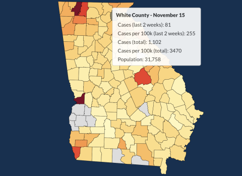 There have been 1,102 total confirmed COVID-19 cases in White County since the start of the pandemic, according to the update on Sunday, Nov. 15, on the Georgia Department of Public Health's website.