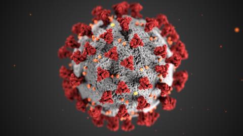 White County has seen its COVID-19 confirmed case count dwindle since spring, but it lags behind most of the state for percentage of the population that has sought to become fully vaccinated.