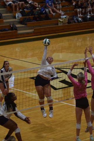 WCHS senior Camryn Dorsey was named to the All-Area team. (Photo/Mark Turner)