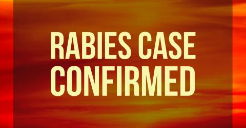 A rabid skunk in the Trinity Trail area is the third confirmed rabies case in White County for 2021.