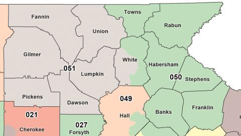 A proposed map adopted by the Georgia General Assembly would split White County into two state Senate districts. (Map image courtesy Georgia General Assembly’s Legislative and Congressional Reapportionment Office)