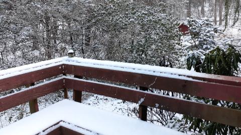 White Christmas 