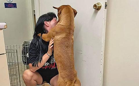 Samantha Prevett shows some love to a pouncing dog at the animal shelter. (Photo/submitted)