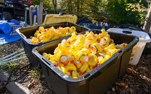 About 3,000 ducks will be released into the Chattahoochee River on Saturday in an epic race to the finish line. (Photo/Zach Taylor)