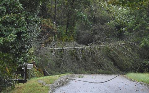High speed winds from Hurricane Helene caused damage throughout White County, including a snapped telephone pole on Duncan Bridge Trail. (Photo/Basil Ray)