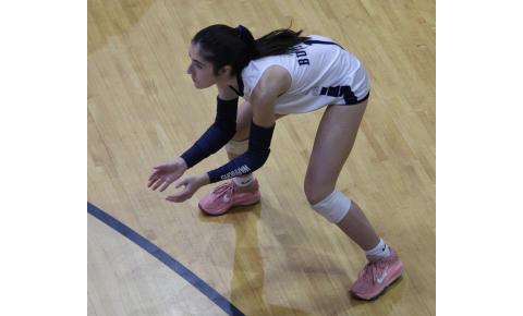 The WCHS volleyball team split its matches last week with McDonough and Cherokee Bluff. MARK TURNER/WCN