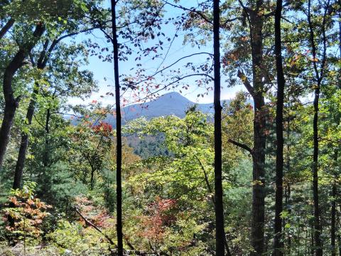 The view at the top of Laurel Ridge Trail inside Smithgall Woods State Park. DENISE ETHERIDGE/WCN