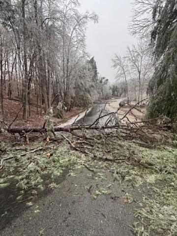 This tree went down at Chimney Lake during last weekend’s Winter Storm Fern. PHOTO/BRYCE BARRETT, WHITE COUNTY PUBLIC SAFETY