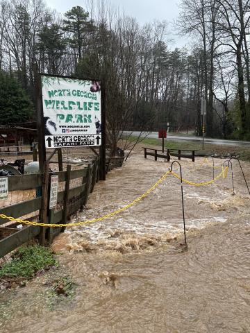Flooding caused by heavy rainfall on Saturday, Jan. 10 im- pacted North Georgia Wildlife & Safari Park in Cleveland,  forcing the park to shut down for a day. SUBMITTED PHOTO
